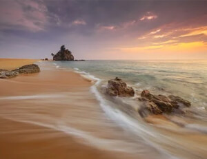 德国女足势不可挡，连胜捧杯