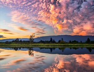 魔术全队表现出色，反超老鹰