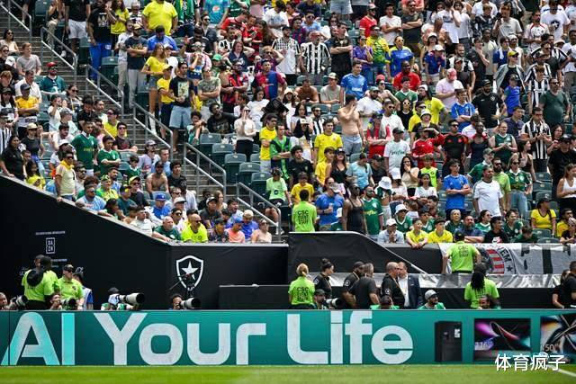 帕尔梅拉斯冲击季军,年轻球员表现亮眼的简单介绍 帕尔梅拉斯冲击季军,年轻球员表现亮眼的简单介绍